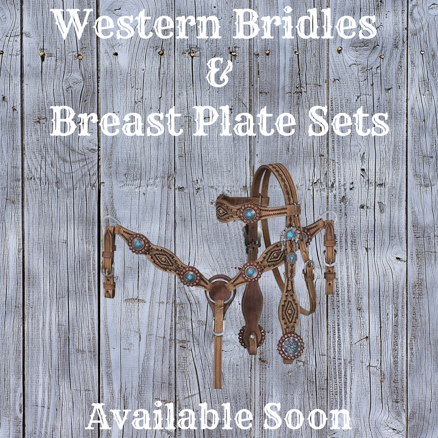 Western Bridle & Breast Plate Sets